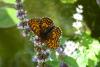 252577 – Photo : Nicolas Alric – France (12)